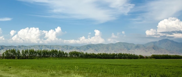 paisaje primaveral montañas y cielo azul con nubes