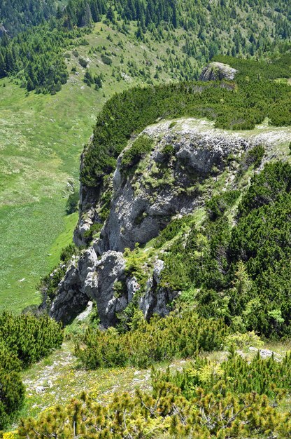 Paisaje primaveral en las montañas.