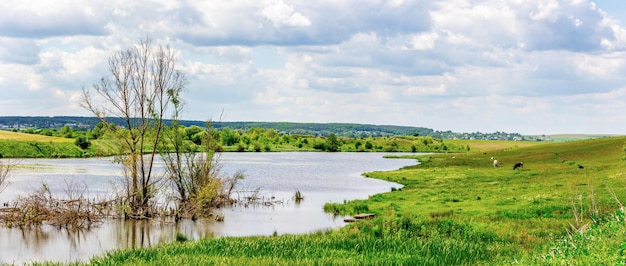 Paisaje primaveral con río, árboles, cielo pintoresco y vacas pastando en la distancia