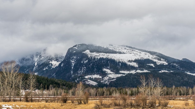 Paisaje de principios de primavera en un día nublado de campo con montañas en la distancia