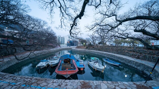 Foto el paisaje del puerto de daebangjingul en samcheonpo, corea del sur, con la historia de lee sunshin