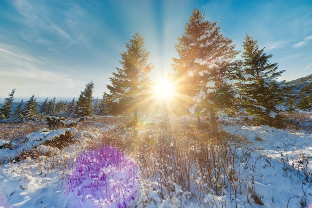 Paisaje de puesta de sol de invierno hermoso fondo de noche fría Impresionante vista de bosque de invierno Rayos de sol nieve azul claro Cielo nublado naranja perfecto Escena de la naturaleza de Navidad Escarcha Carretera de invierno Árboles altos