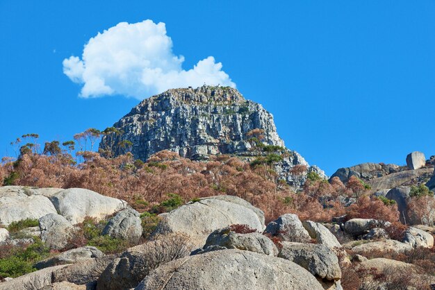 Paisaje quemado después de un incendio forestal en una montaña en Ciudad del Cabo con copyspace Ecología arruinada por un incendio forestal en un bosque La naturaleza en crisis se suma al calentamiento global y la pérdida del hábitat de la vida silvestre