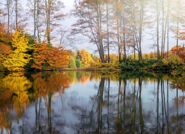 un paisaje de reflación del lago de otoño