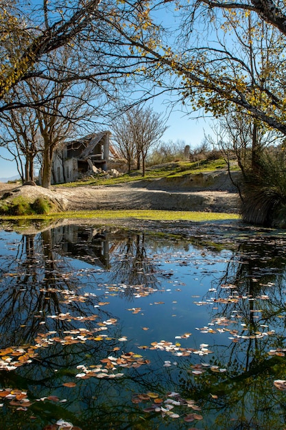 Paisaje con reflejos en el estanque de agua