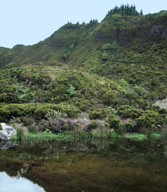 paisaje ribereño cubierto de vegetación