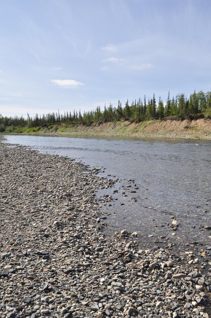 Paisaje del río boreal del norte