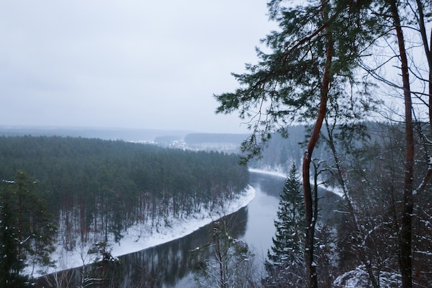 Paisaje de río y bosque de invierno