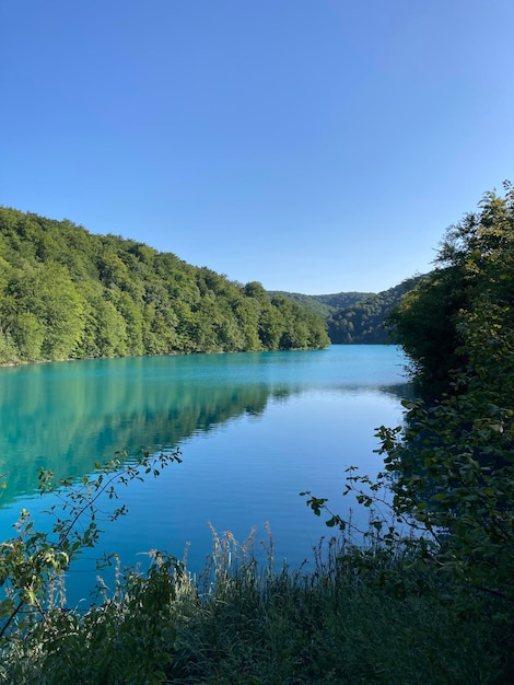 Paisaje de un río con un bosque verde en la orilla