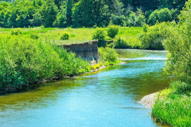 Paisaje con río en el bosque verde