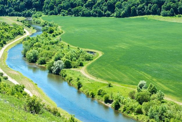 Paisaje de río, campo de trigo verde con bosque cercano y camino rural pasando