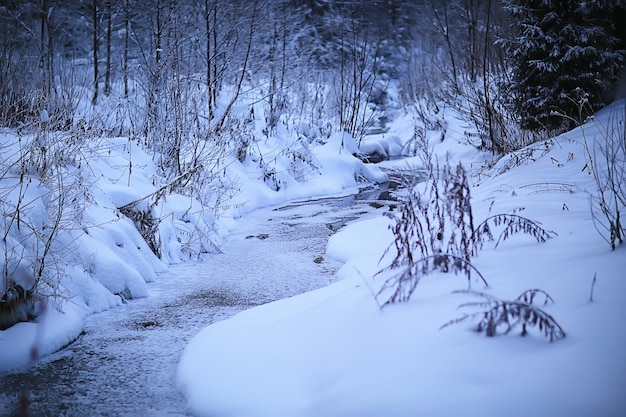 Paisaje río invierno vista estacional agua nieve bosque