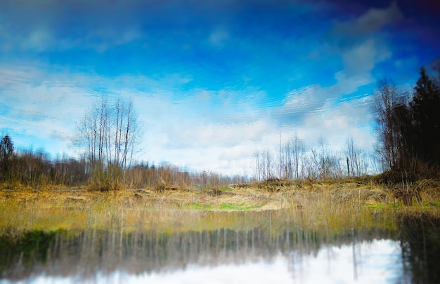 Paisaje del río de manantial reflejo del agua al revés