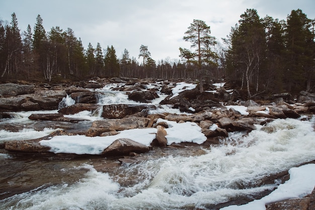 Paisaje de río de montaña y cascada que fluye entre las rocas cubiertas de nieve y el bosque
