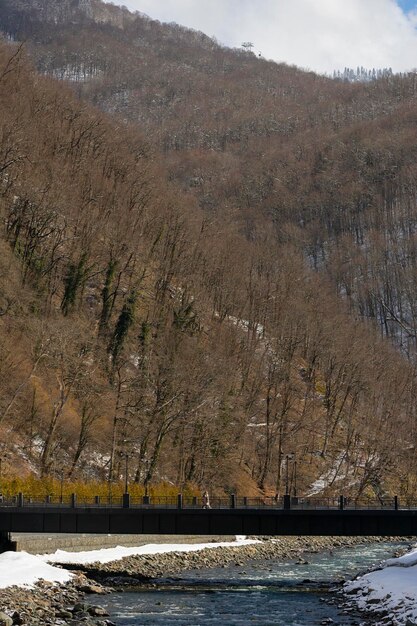 Foto paisaje con un río de montaña en primavera río mzymta sochi rusia