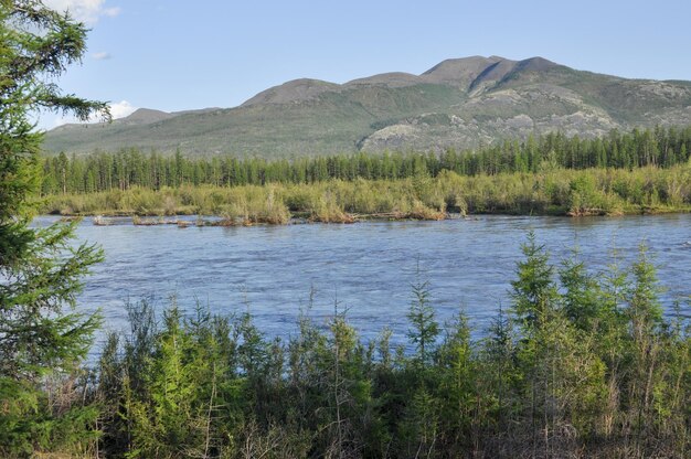 Paisaje con el río y las montañas.