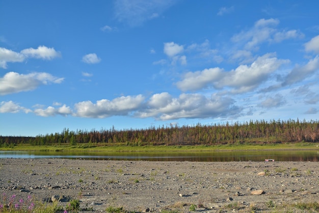 Paisaje del río norte