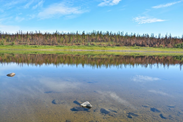 Paisaje del río norte