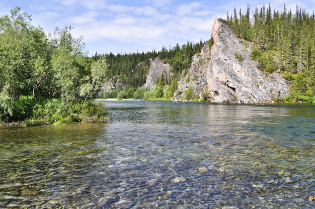 paisaje del río norte