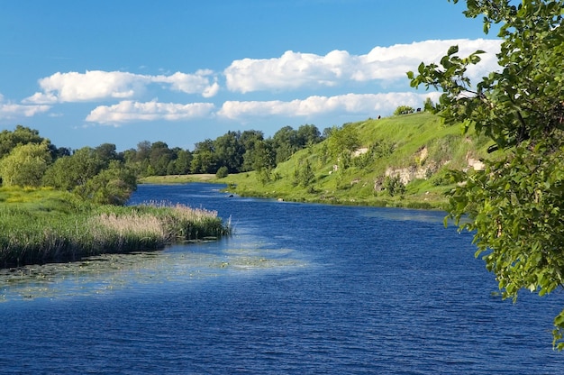 Paisaje con río con las orillas verdes