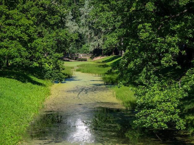 Paisaje de un río en un parque verde