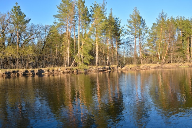 paisaje de río en primavera