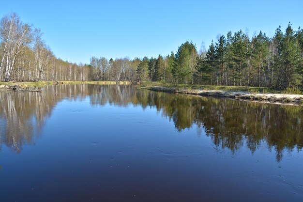 Paisaje de río de primavera