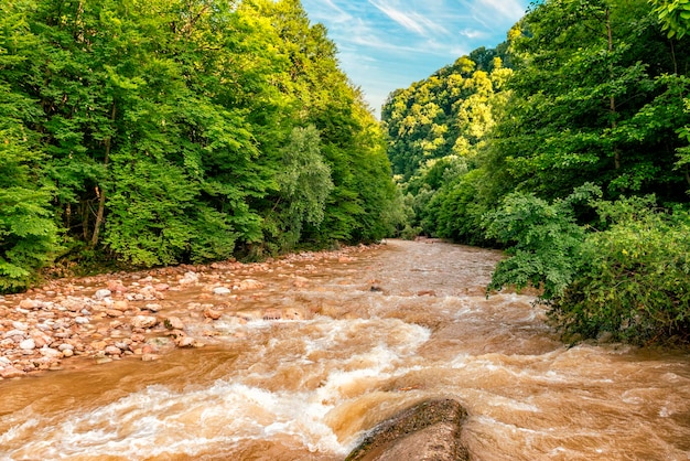 Foto paisaje del río que surge de la profunda garganta de la montaña