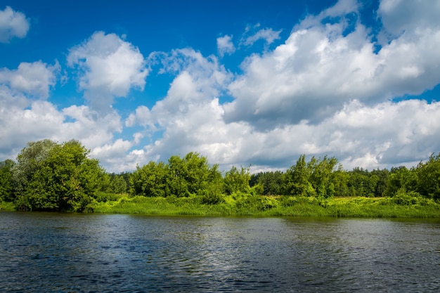 Paisaje del río rural de verano