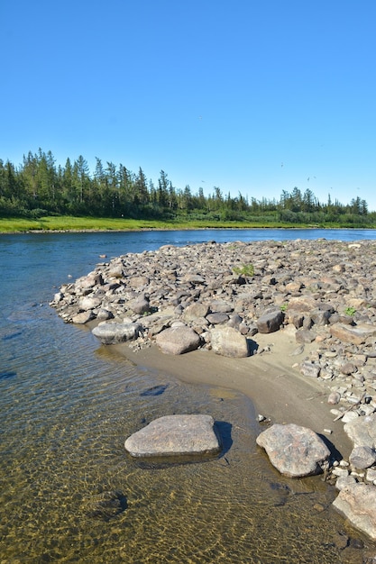 Paisaje de río de verano