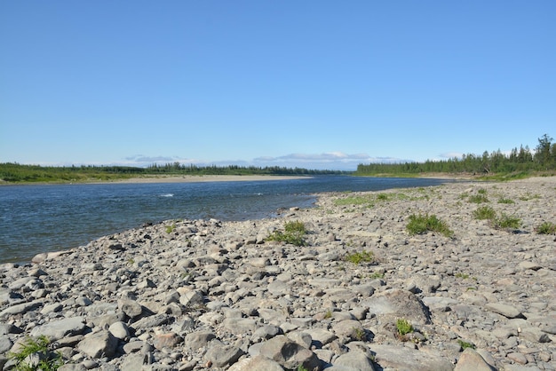 Paisaje de río de verano