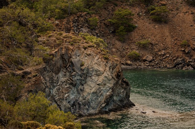 Paisaje de la roca marrón que cubre los árboles