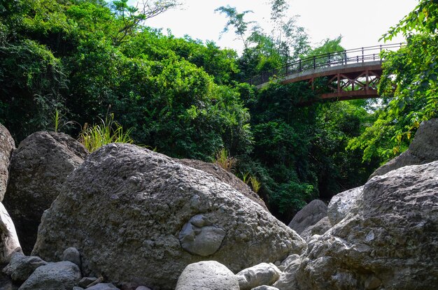 Paisaje rocoso de piedra