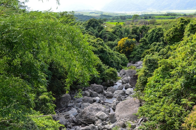 Paisaje rocoso de piedra