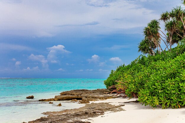 Paisaje romántico del océano de la naturaleza de la isla tropical