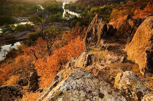 Paisaje rural de amanecer de otoño con río y árboles coloridos fondo estacional