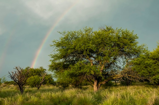 Paisaje rural y arcoirisProvincia de Buenos Aires Argentina