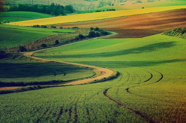 Paisaje rural con camino de campos verdes y olas Imagen de hipster retro estacional natural de Moravia del Sur República Checa