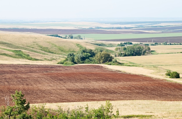 Paisaje rural. Campo arado