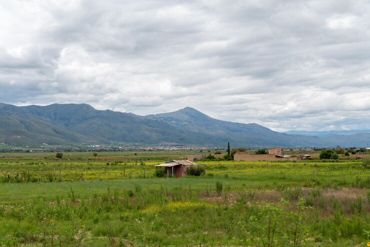 paisaje rural de un campo de cultivo con montañas en el fondo día nublado
