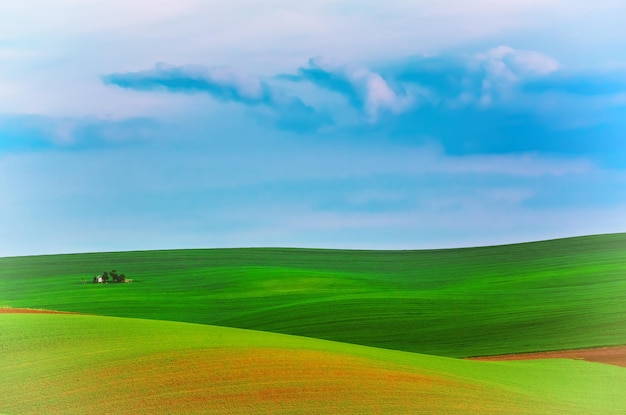 Paisaje rural con campo verde cielo azul y choza de caza de madera Moravia del Sur República Checa