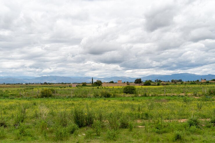 paisaje rural con campos de cultivos y casas rurales montañas en el fondo en un día nublado