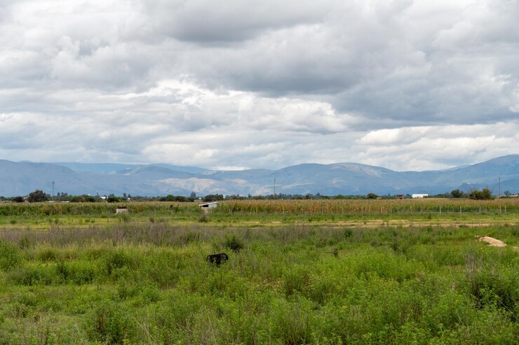 paisaje rural con campos de cultivos y casas rurales montañas en el fondo en un día nublado
