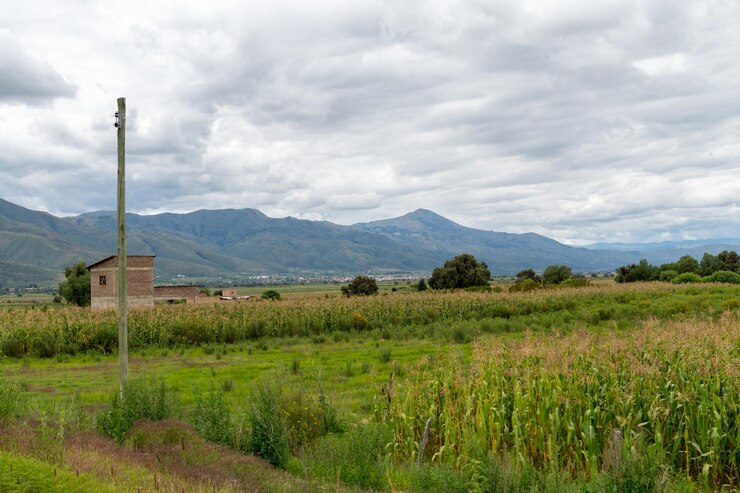 paisaje rural con campos de cultivos y casas rurales montañas en el fondo en un día nublado