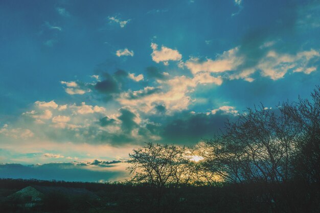 Paisaje rural con cielo nocturno al atardecer.