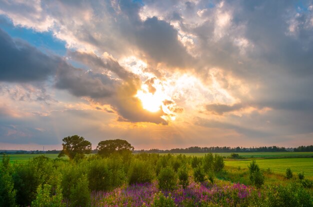 Paisaje rural, cielo en nubes oscuras espectacular puesta de sol brillante.