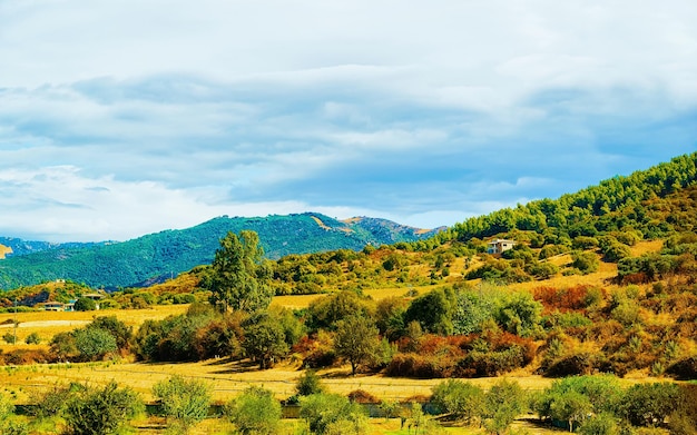 Paisaje rural con colinas y tierras altas en Posada, Nuoro. Panorama en la isla de Cerdeña de Italia. Paisaje de Cerdeña en verano. provincia de Olbia. Técnica mixta.