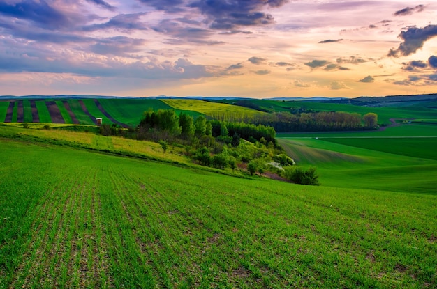 Paisaje rural con coloridos campos y olas al amanecer primavera fondo natural estacional Moravia del Sur República Checa