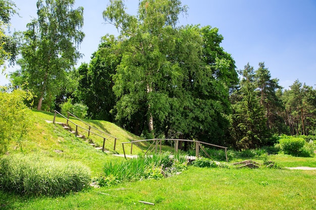 Paisaje rural en día soleado de verano