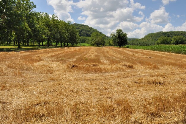 Paisaje rural en Dordoña